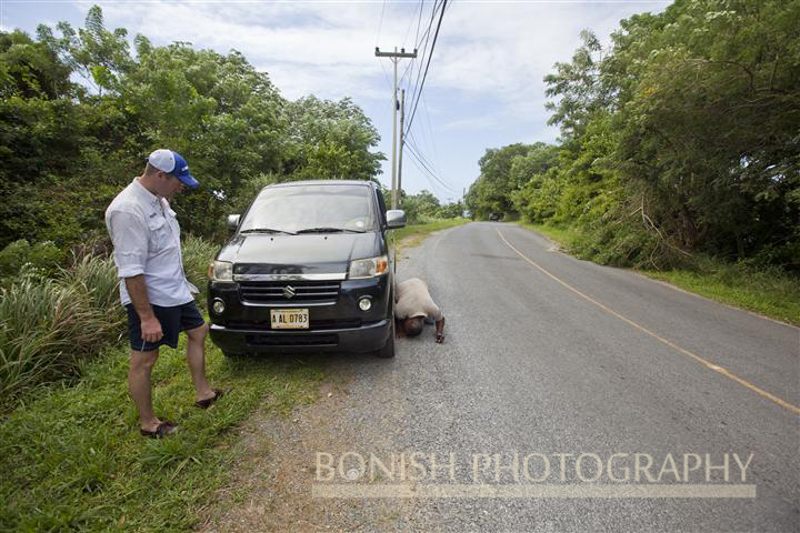 Broke_Down_Roatan