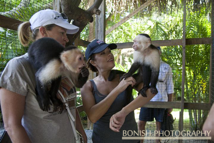 Monkey_Park_Roatan (2)