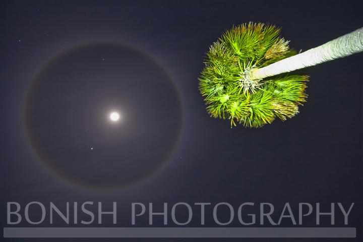 Moon_Halo (5)