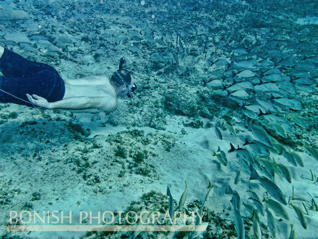 Snorkeling_Cozumel (4)