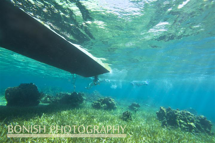 Snorkeling_Roatan (1)