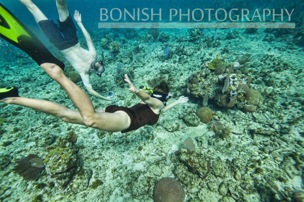 Snorkeling_Roatan