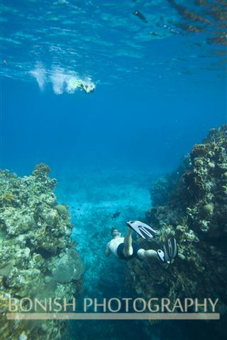 Snorkeling_Roatan (11)