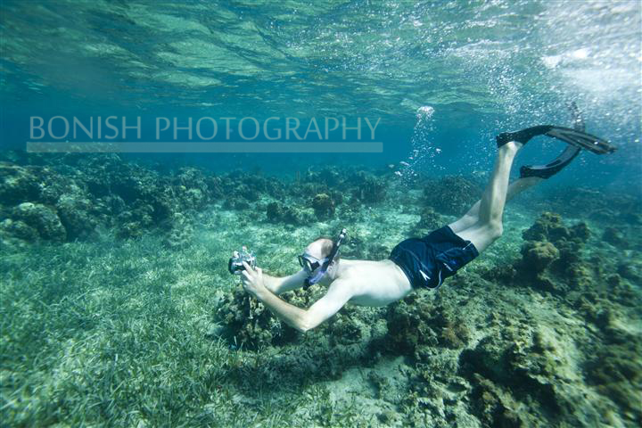 Snorkeling_Roatan (2)