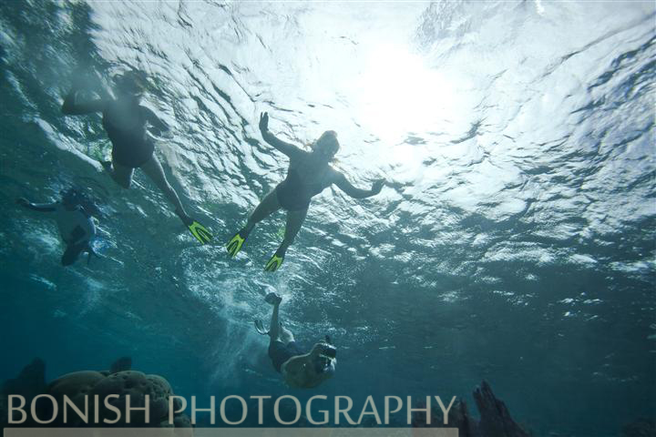 Snorkeling_Roatan (6)