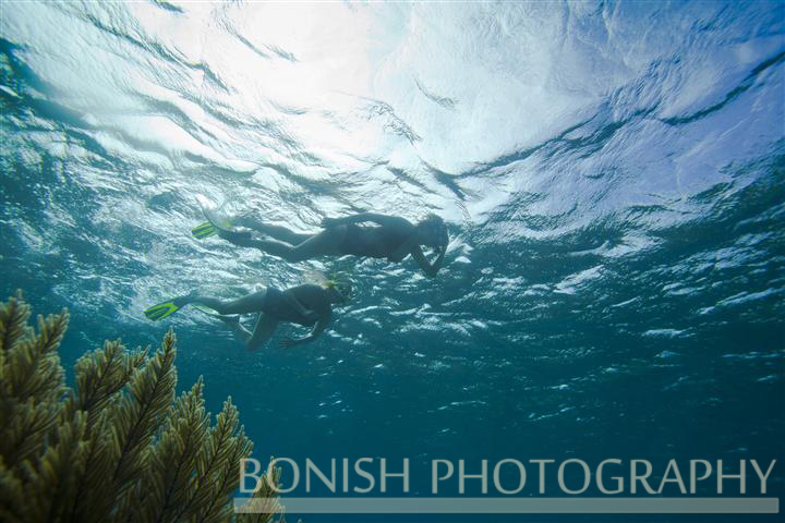 Snorkeling_Roatan (7)