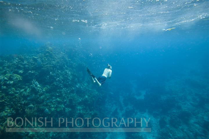 Snorkeling_Roatan (8)