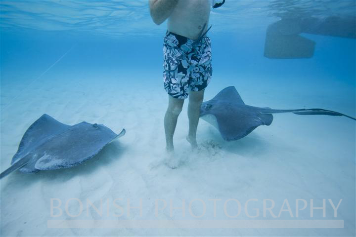 Stingray_City (3)