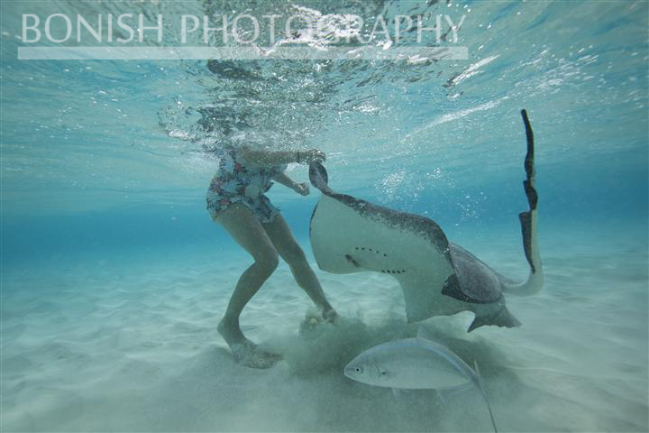 Stingray_City (9)