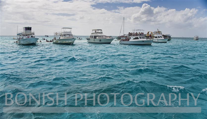 Stingray_City_Grand_Cayman