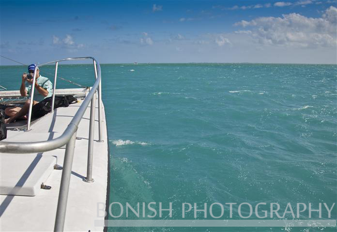 Stingray_Sailing