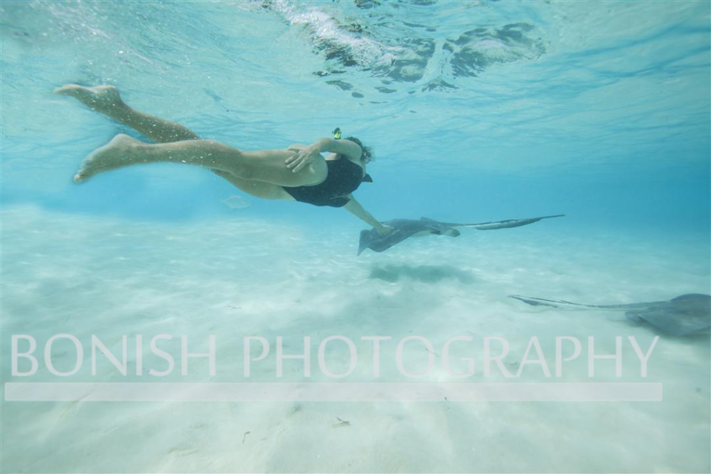 Swimming_With_Stingrays