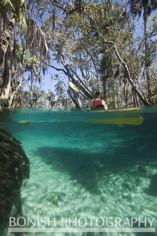 3_Sisters_Spring_Crystal_River_FL