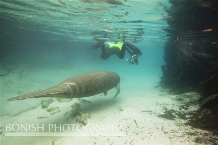 Underwater_Photographer