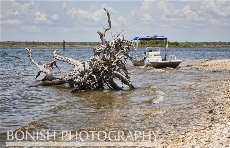 Shell_Island_Crystal_River