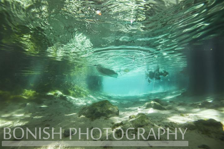 Snorkeling_3_Sisters_Spring (4)