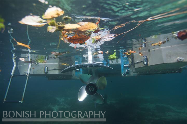 Underwater Photography, Underwater LED, Bonish Photo, Boating, Florida Boating