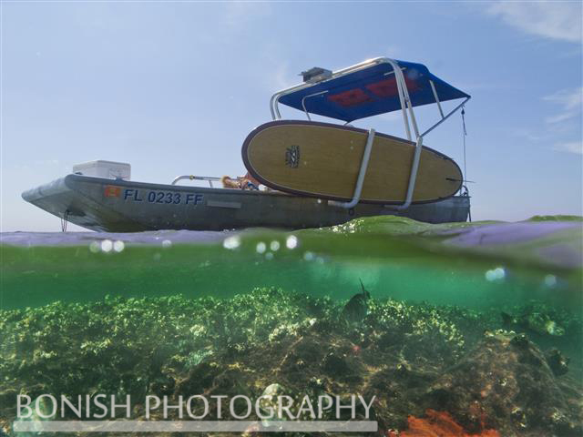 SUP Holder, Stand Up Paddle Board Holder, Bonish Photo, Florida, Underwater Photography, 