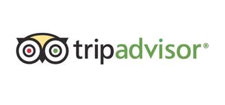 Trip Advisor, Logo, Branding