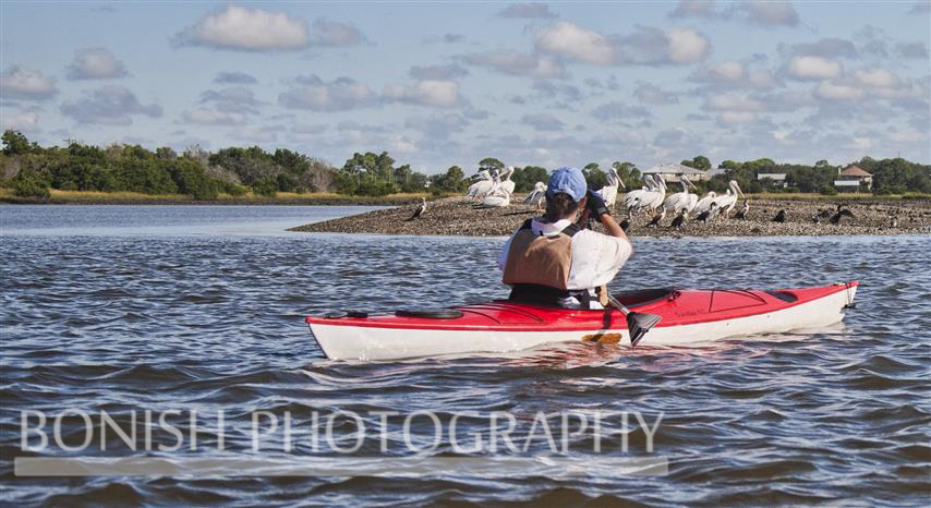 Kayaking, Nature Coast, Cedar Key, Pat Bonish Photography