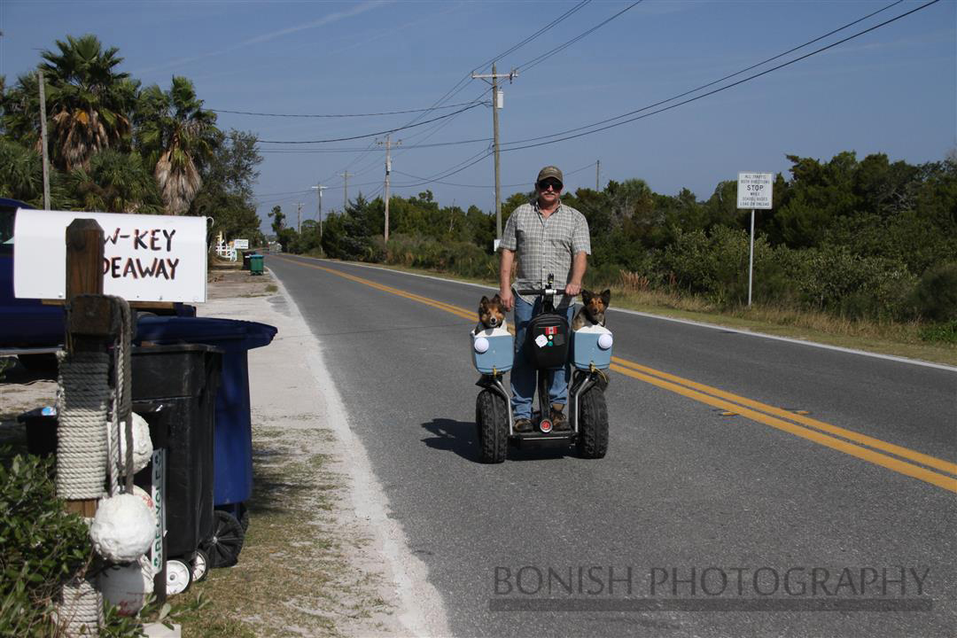 Segway, Dog Taxi, Bonish Photography