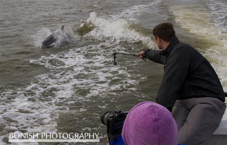 Roam Media, Dolphin, Cedar Key, Bonish Photography