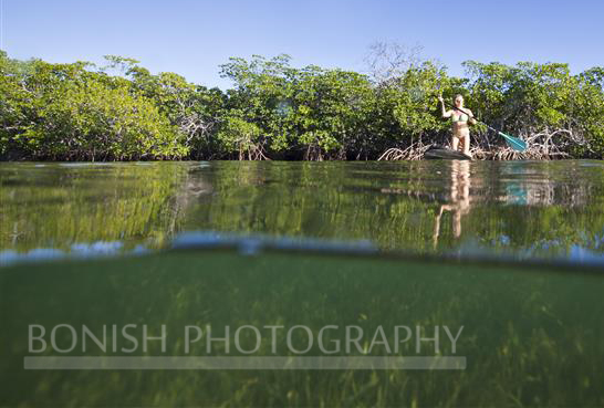 SUP, Mellow Ventures, Stand Up Paddle Boarding, Bonish Photography