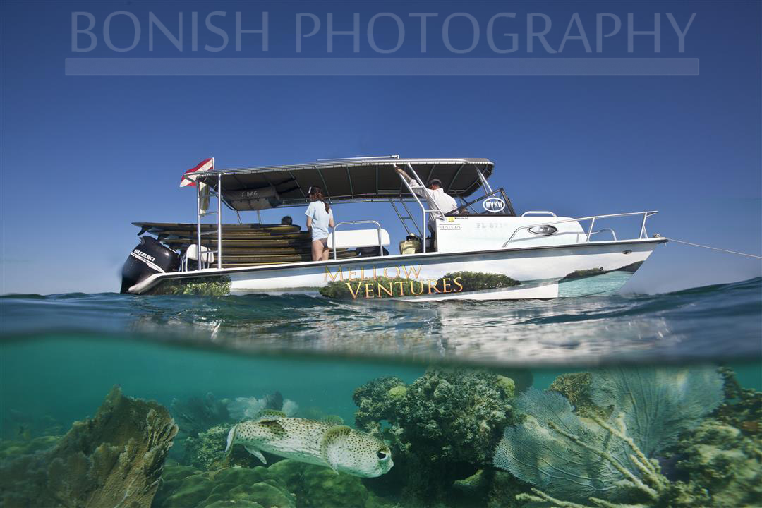 Mellow Ventures, Key West, Twin Vee, Split Shot, Underwater Photography, Bonish Photography