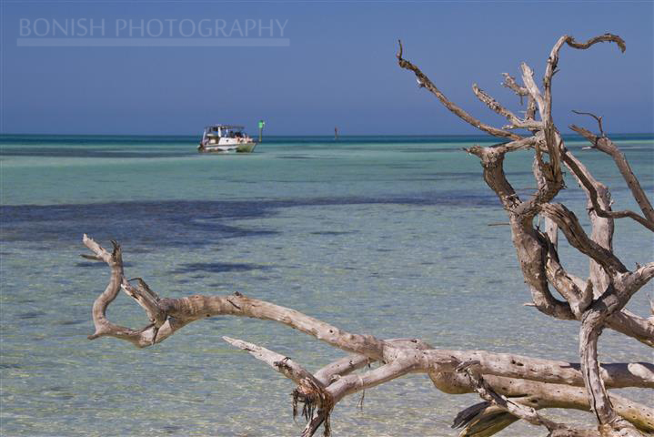 Twin Vee, Catamaran, Key West, Mellow Ventures, Bonish Photography, Driftwood