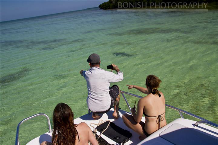 Mellow Ventures, Key West, Shark Spotting, Bonish Photography