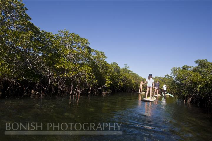 Mellow Ventures, Key West, SUP, Stand Up Paddle Boarding, Bonish Photography