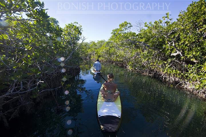 Mellow Ventures, Key West, SUP, Stand Up Paddle Boarding, Bonish Photography
