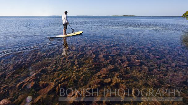 Mellow Ventures, Stand Up Paddle Boarding, Key West, Bonish Photography