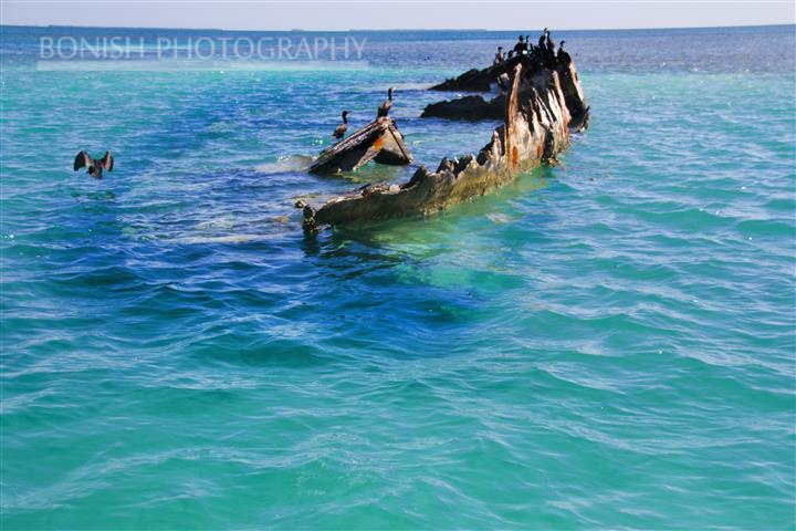 Ship Wreck, Key West, Mellow Ventures, Bonish Photogrpahy