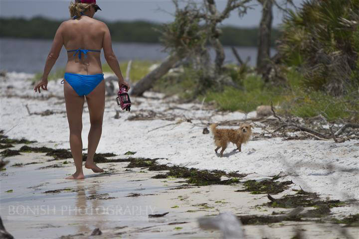 Bikini, Cindy Bonish, Beach Dog, Bonish Photography