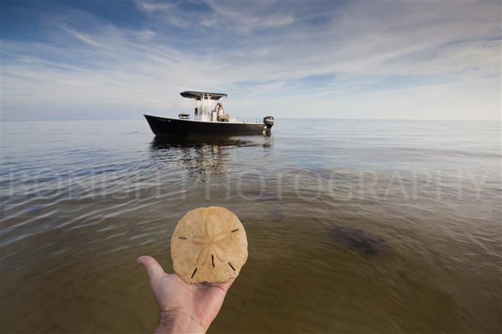 Sand Dollar, Boat, Bonish Photography, Ocean, Gulf of Mexico