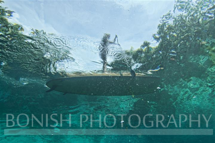 SUP, Underwater Photography, Stand Up Paddle Boarding, Bonish Photography