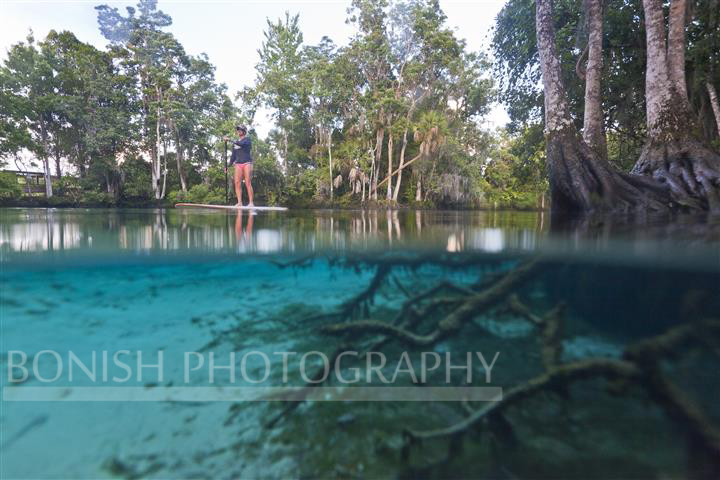 Split Shot, Underwater Photography, Springs, Crystal River, Bonish Photography, Stand Up Paddle Boarding, SUP