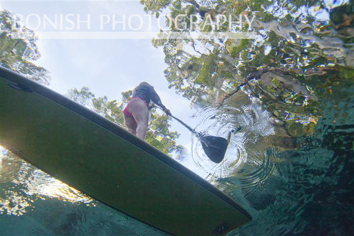 SUP, Stand Up Paddle Boarding, Bonish Photography, Underwater Photography