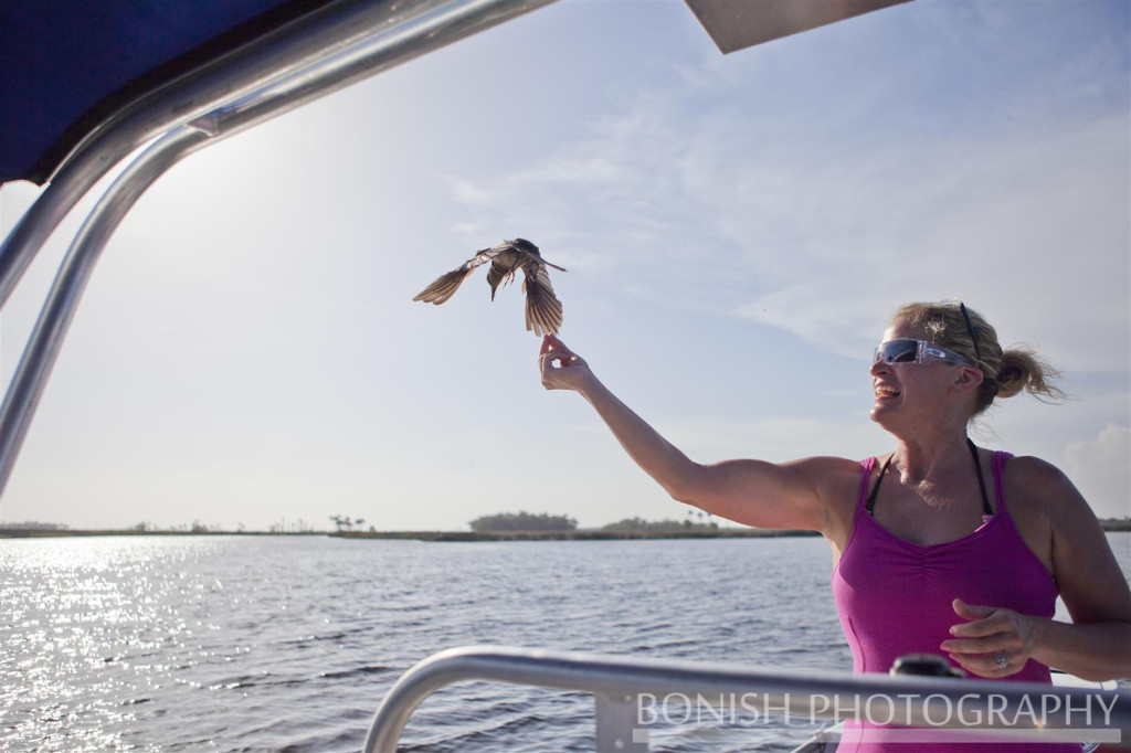 Cindy Bonish, Boating, Bird Feeder, Bonish Photography
