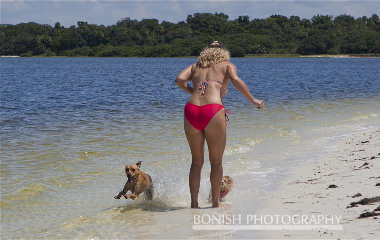 Dogs, Beach, Bikini, Cindy Bonish, Bonish Photography