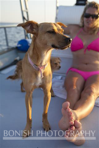 Boating, Bikini, Dog, Bonish Photography