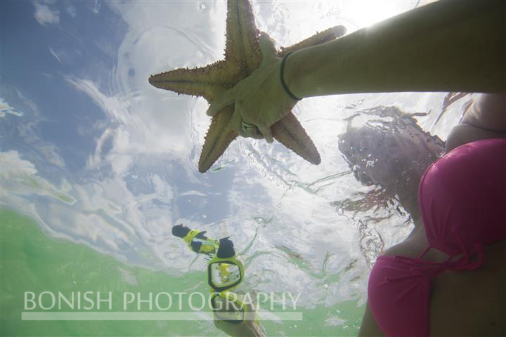 Starfish, Boobs, Bikini, Bonish Photography, Underwater Photography