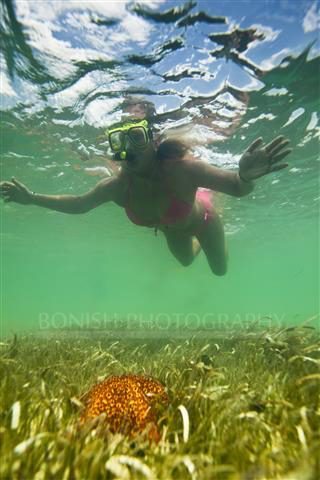 Starfish, Seagrass, Snorkeling, Bikini, Cindy Bonish, Bonish Photography, Underwater Photography