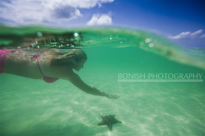 Starfish, Swimming, Underwater Photography, Bonish Photography
