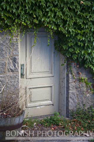 Ivy, Hidden Door, Rockport, Bonish Photography