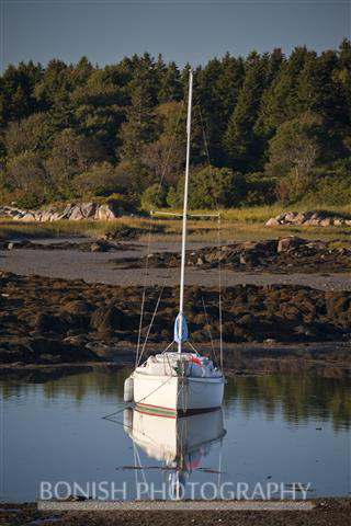 Sailboat, Cape Porpoise Harbor, Maine, Bonish Photo