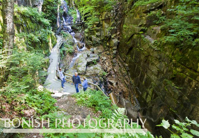 The Flume Gorge, New Hampshire, Bonish Photo