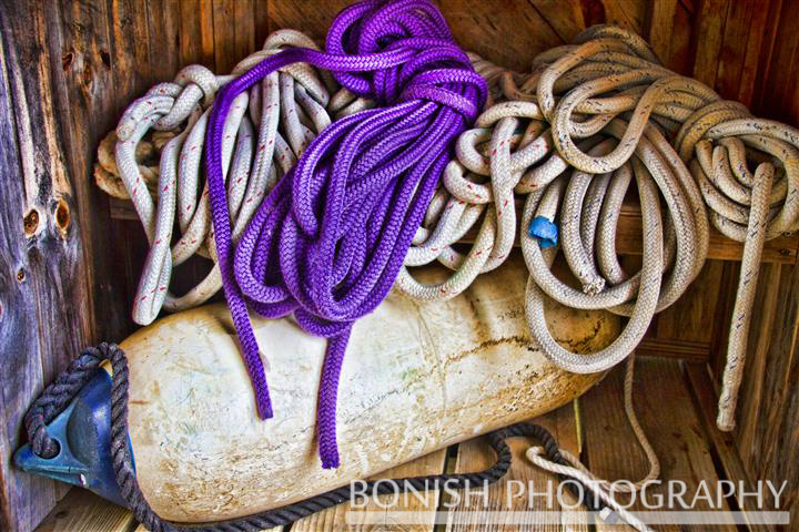 Rope, Boating Equipment, Buoy, Bonish Photo, nautical
