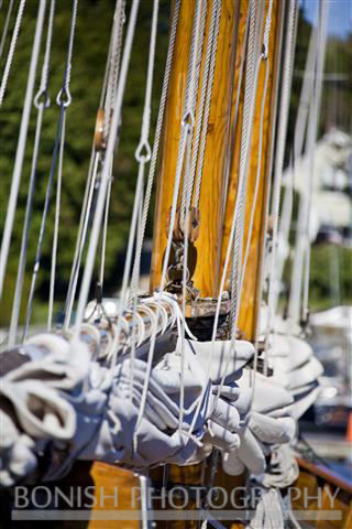 Sailboat, Rigging, Bonish Photo, Nautical